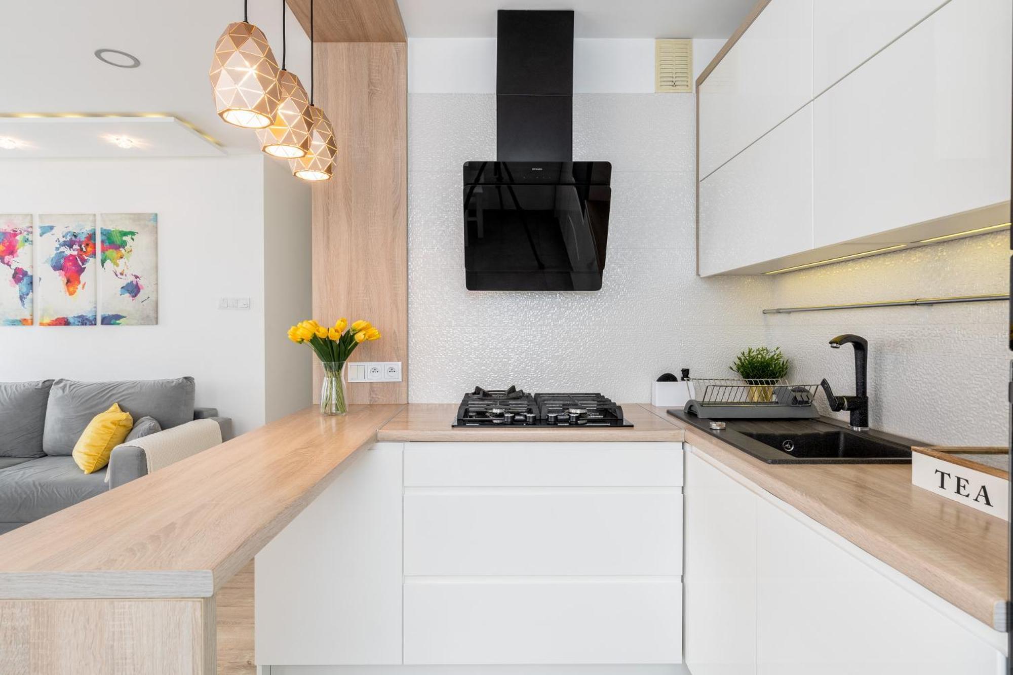 Apartment Sunny Kliny *
