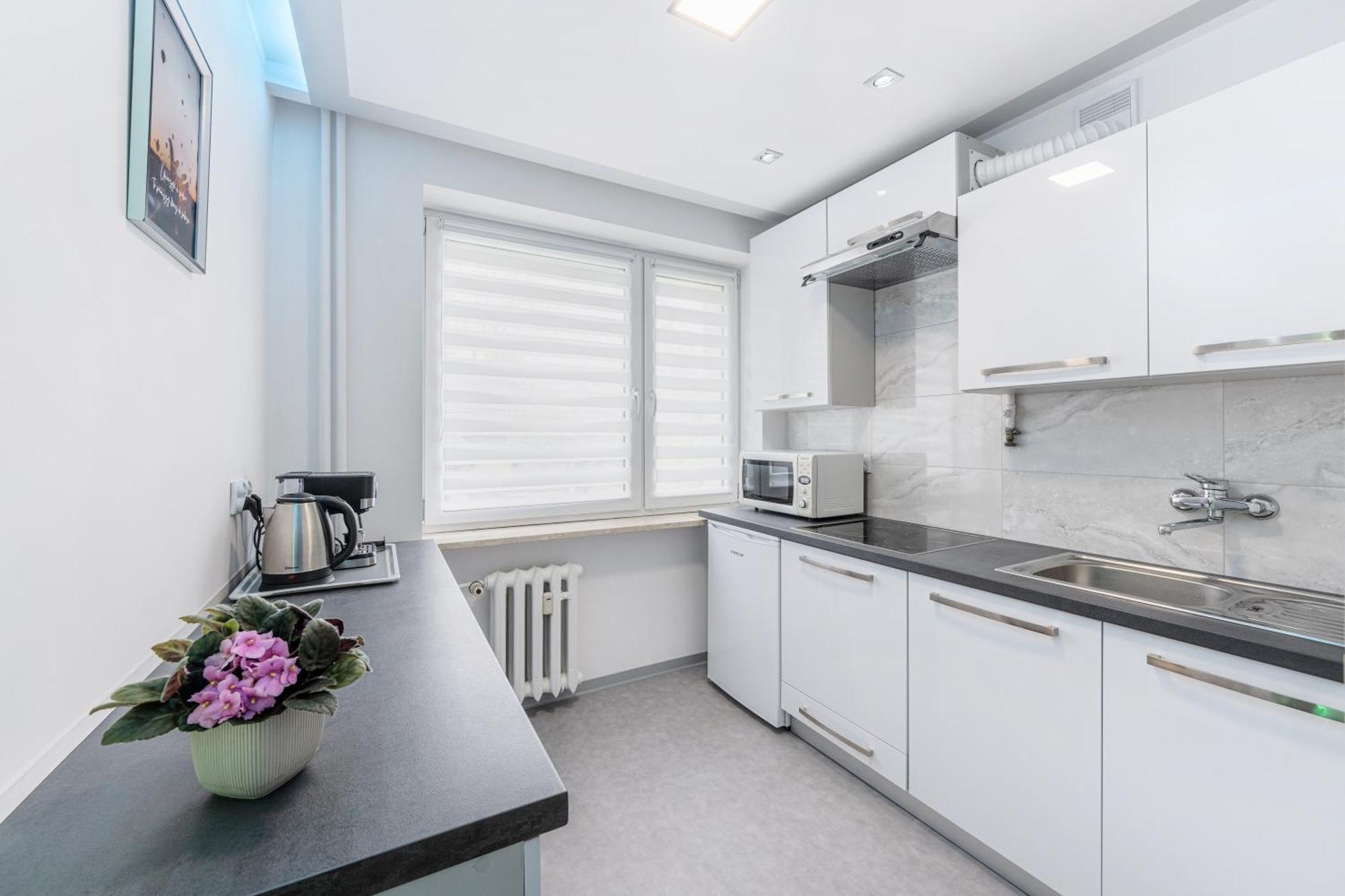 Appartement Parkowy Ul. Raclawicka *