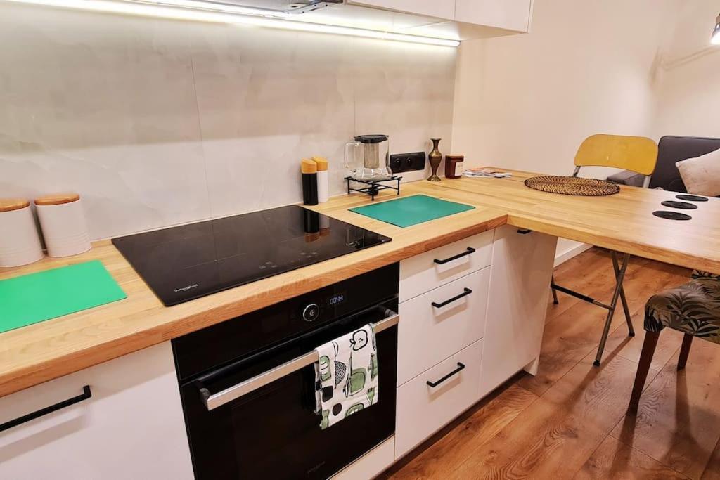 Apartment Modern 2 Bedroom Apartment/kazimierz/paulinska St.