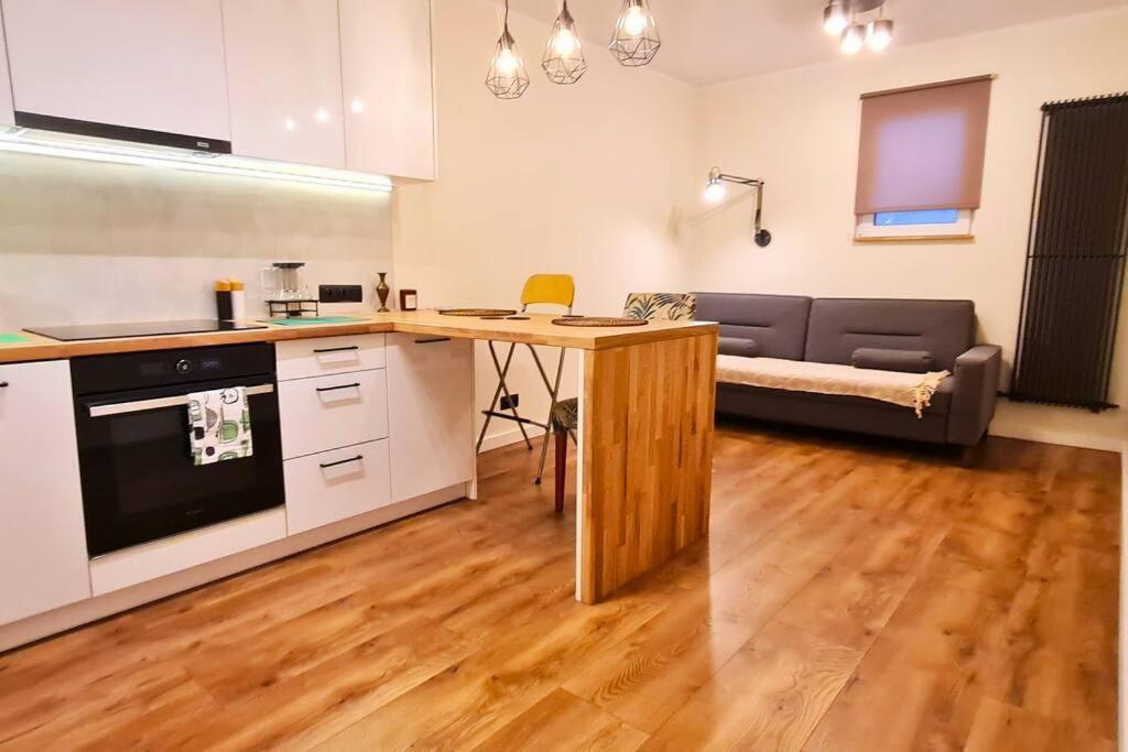 Modern 2 Bedroom Apartment/kazimierz/paulinska St. Krakow