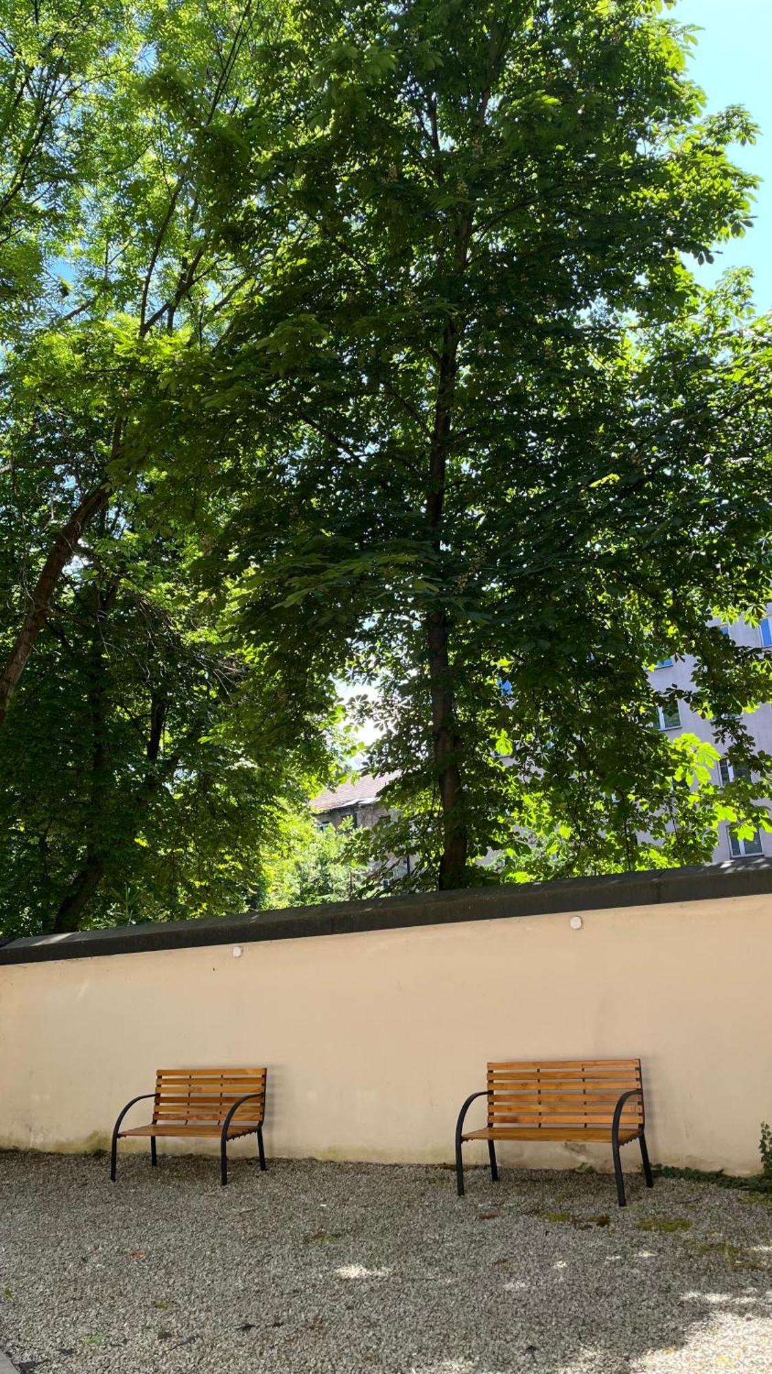 Good Vibes Only Apartament