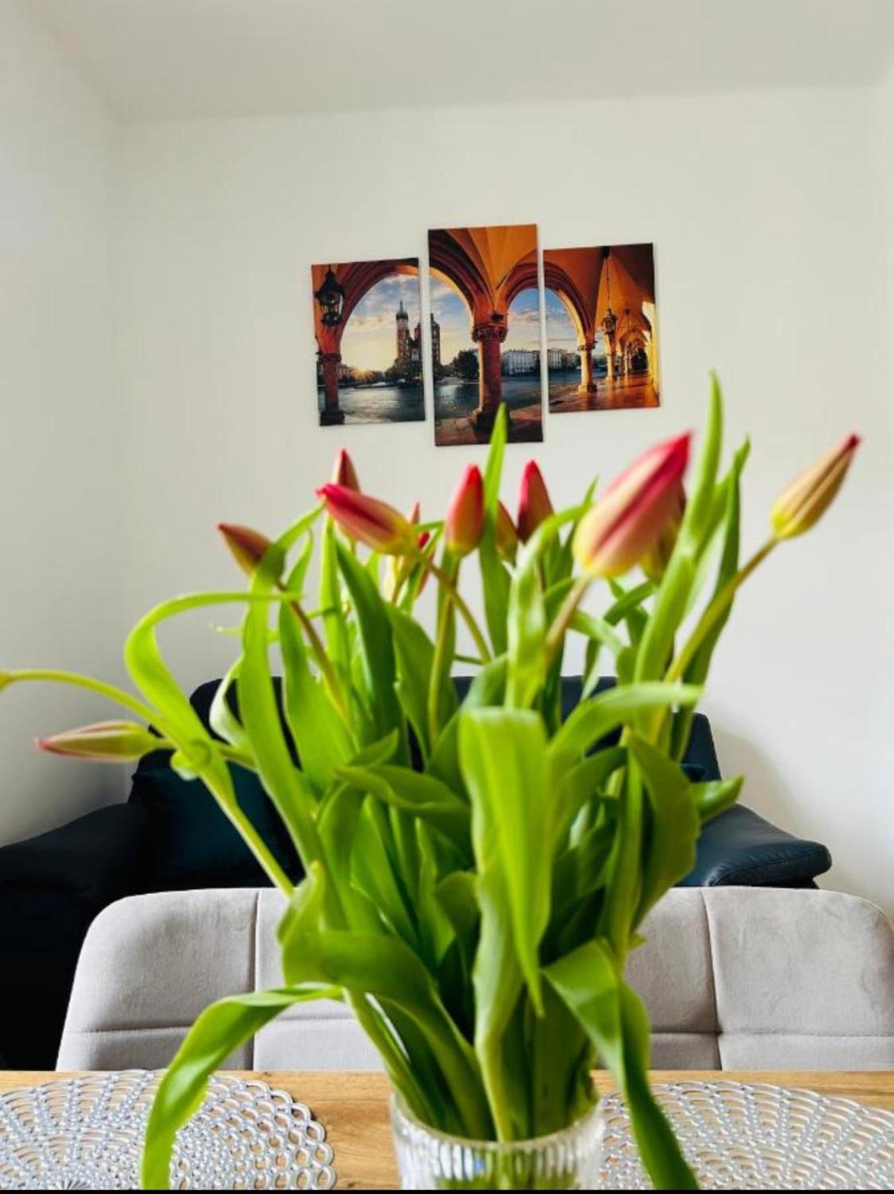Apartment Divon Old Town