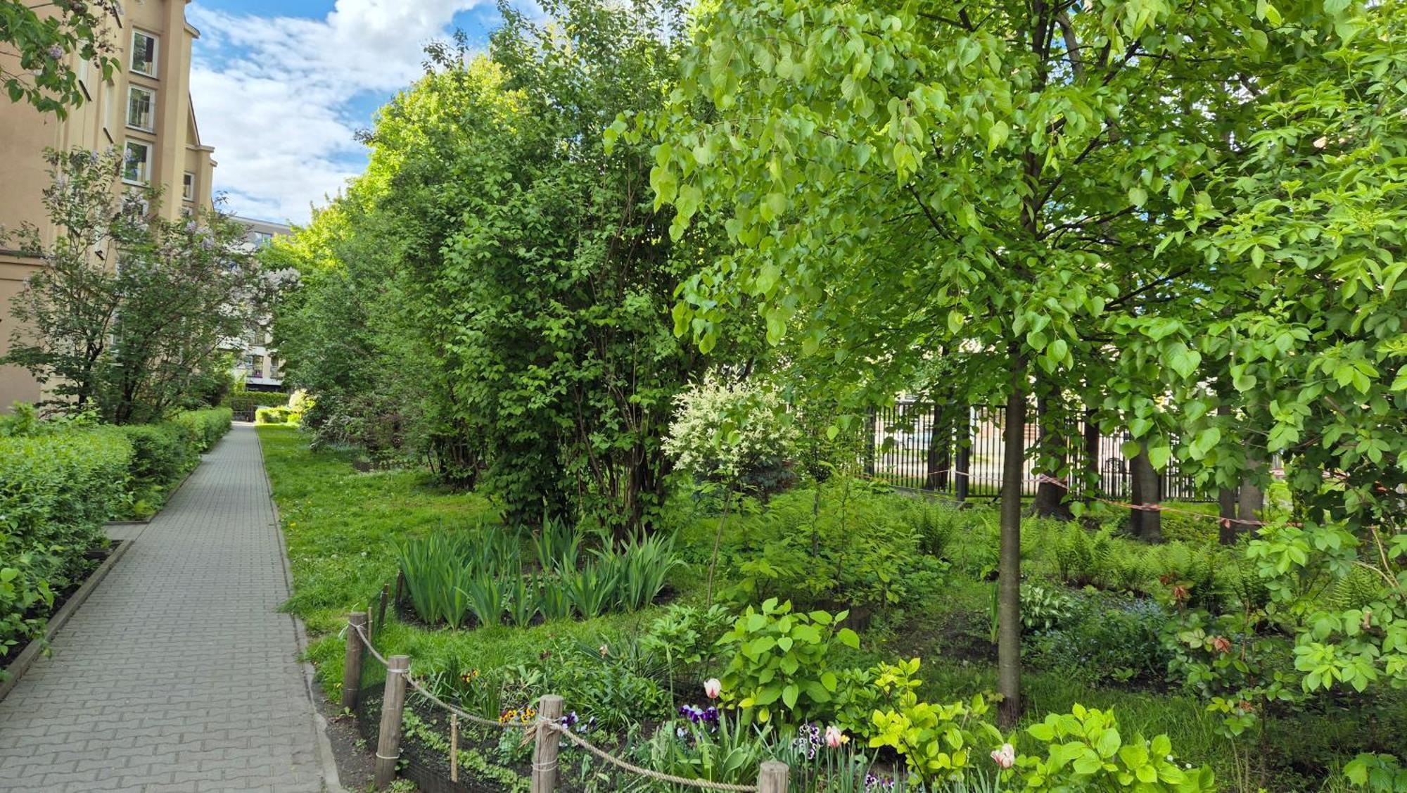 Appartement Daszynskiego *