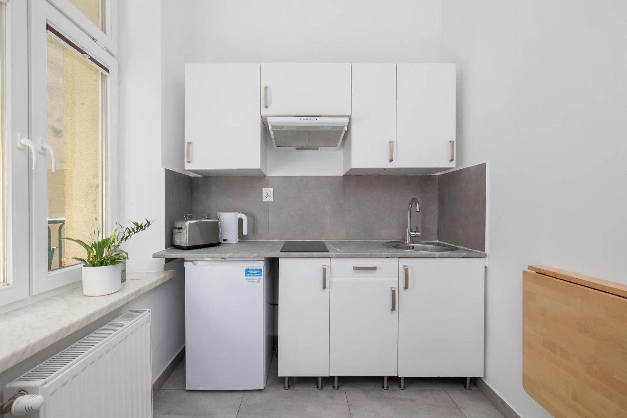 Apartament 1-bedroom - Dluga 65 Street
