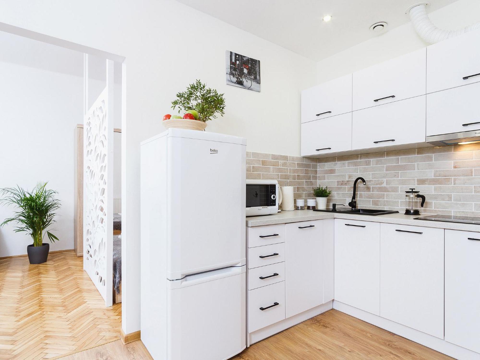 Apartment 1 Bedroom - Starowislna 54