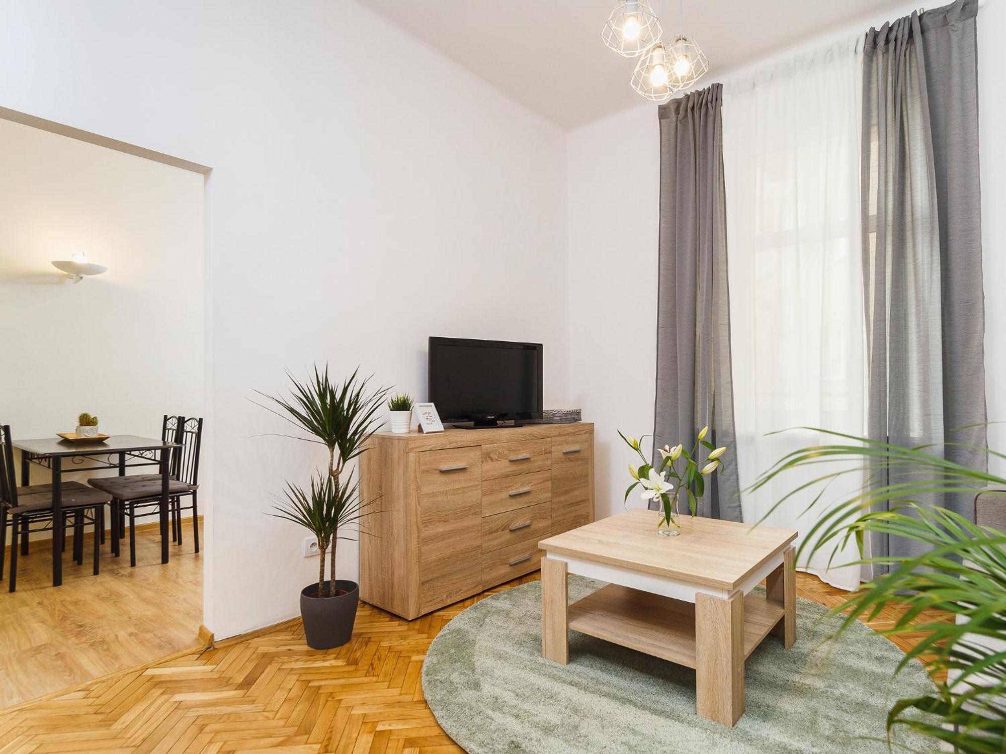 Apartment 1 Bedroom - Starowislna 54 Krakow