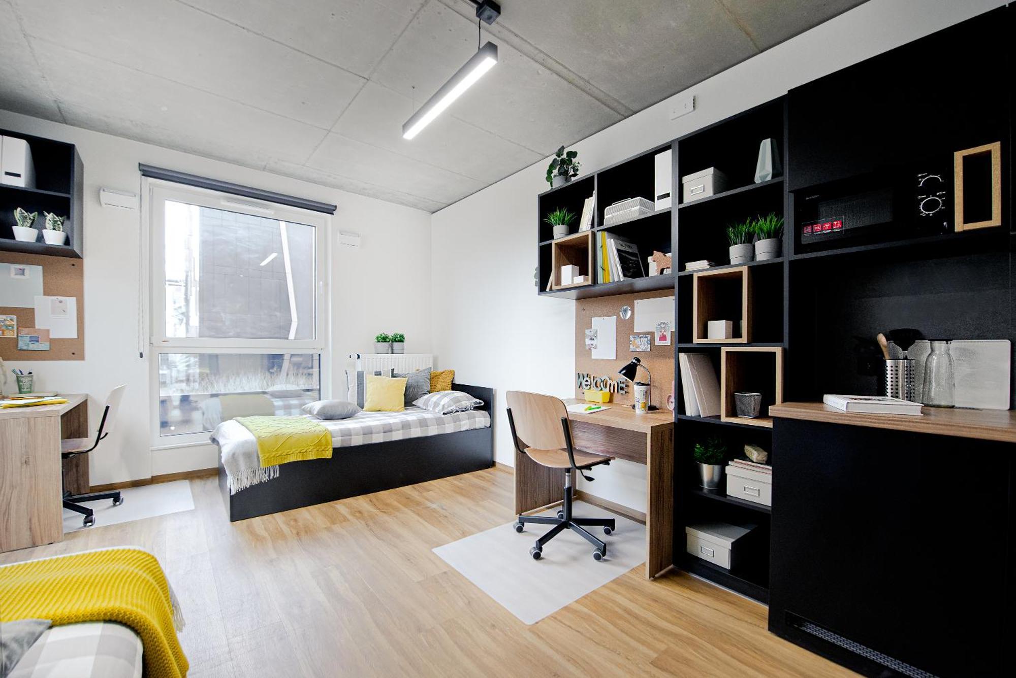 Shed Living Cracóvia
