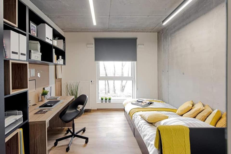 Shed Living Cracóvia