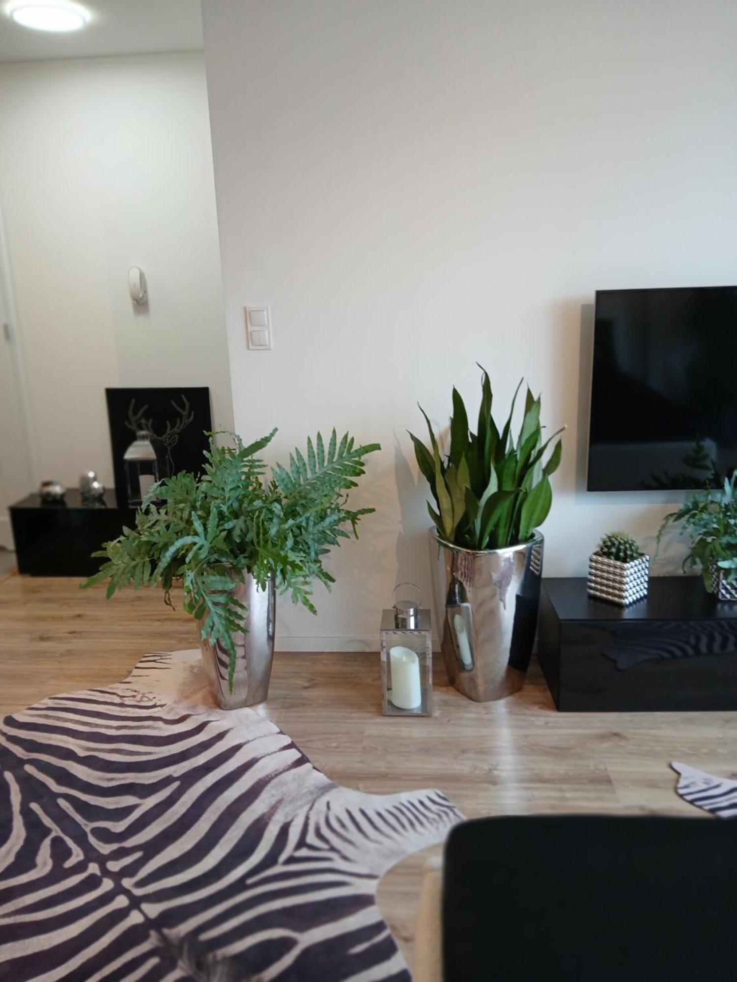 Apartment Center *