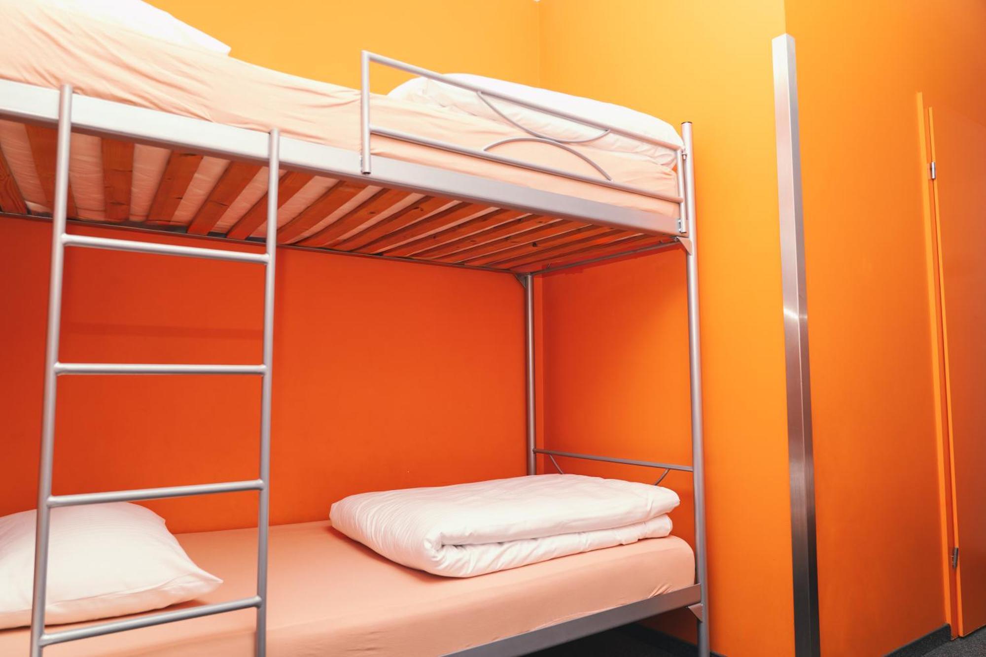 Hostel Mosquito *