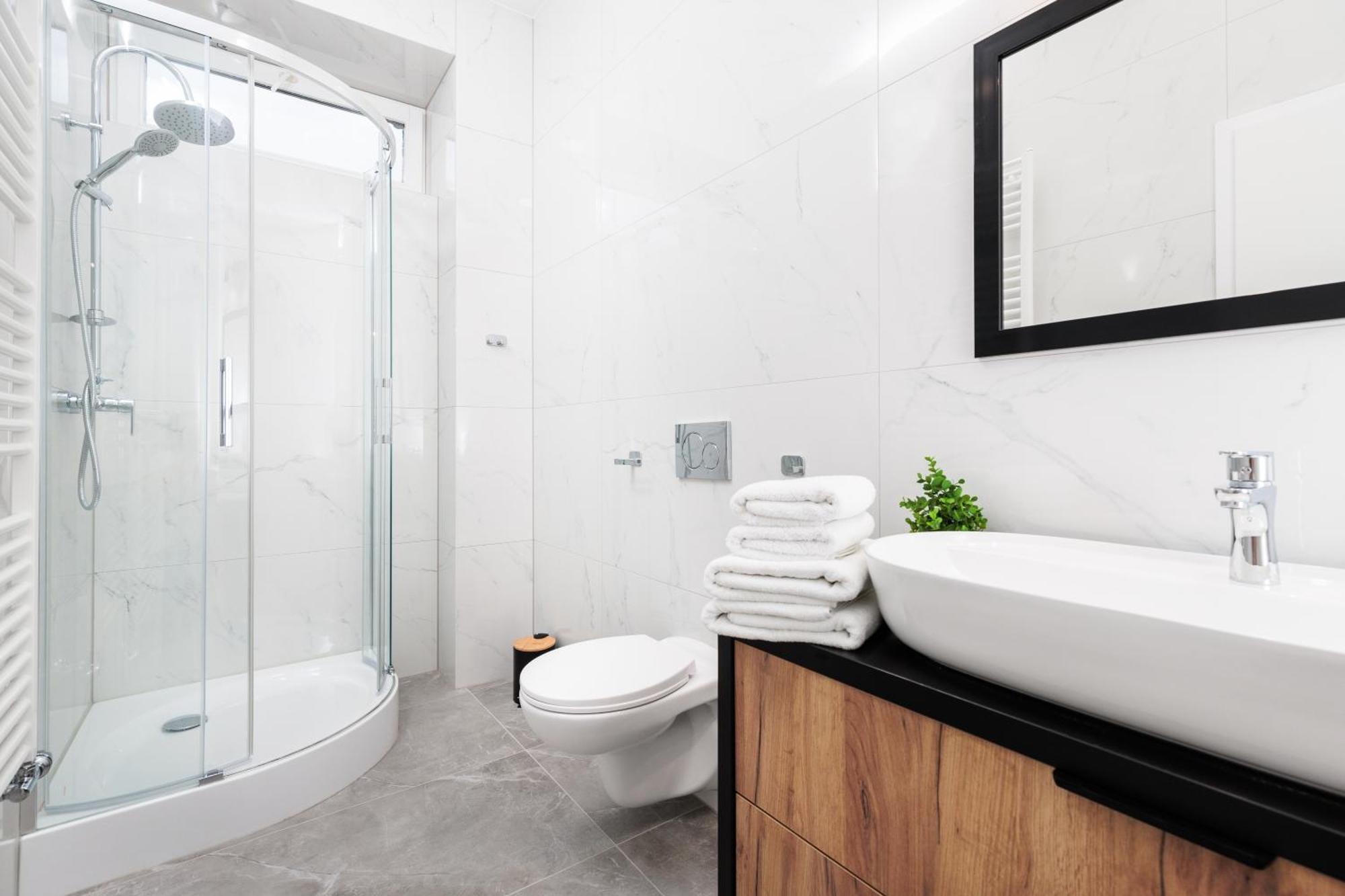 Apartament Of The Kings-poselska 24