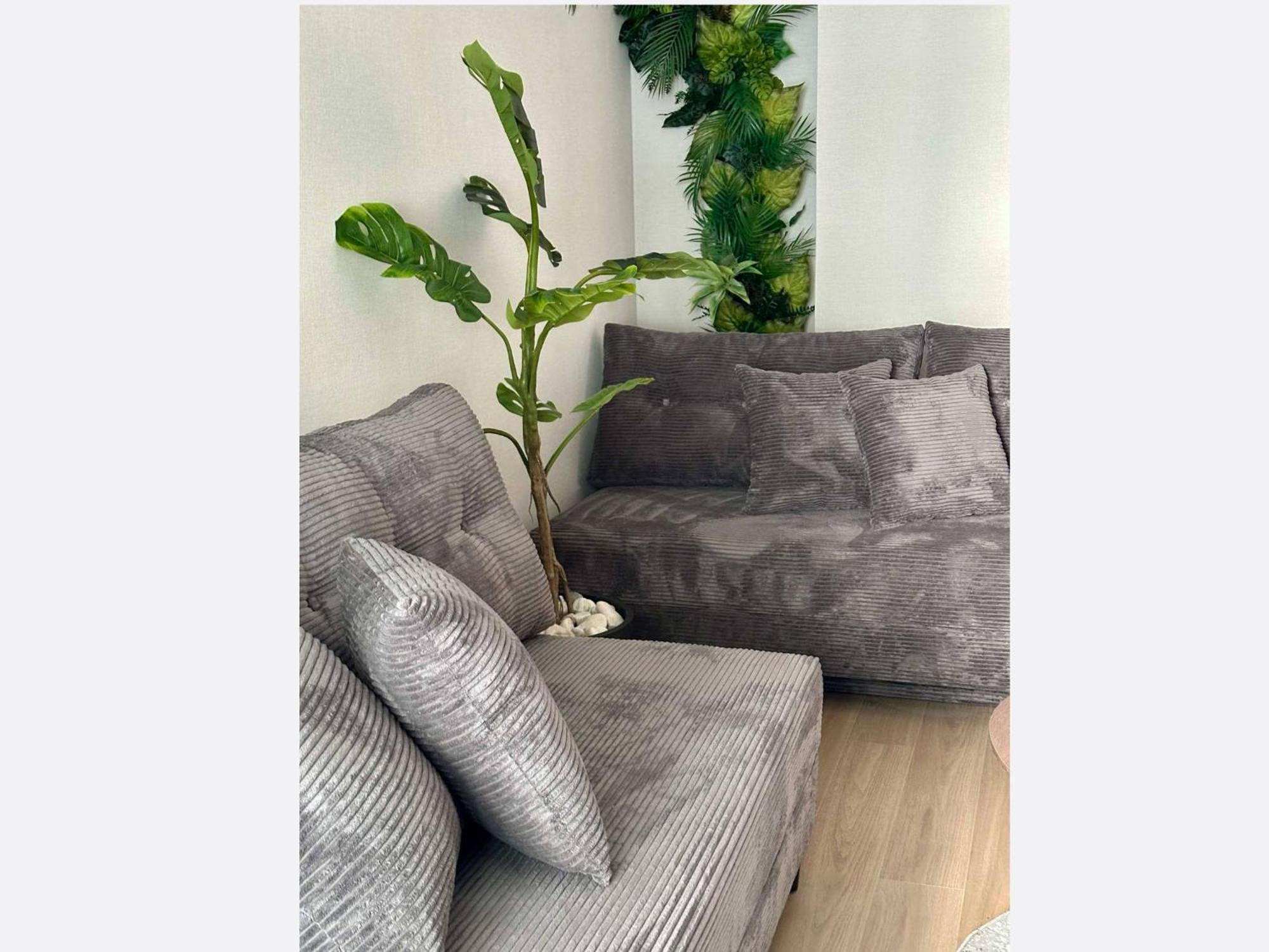 Apartment Jungle Krakow