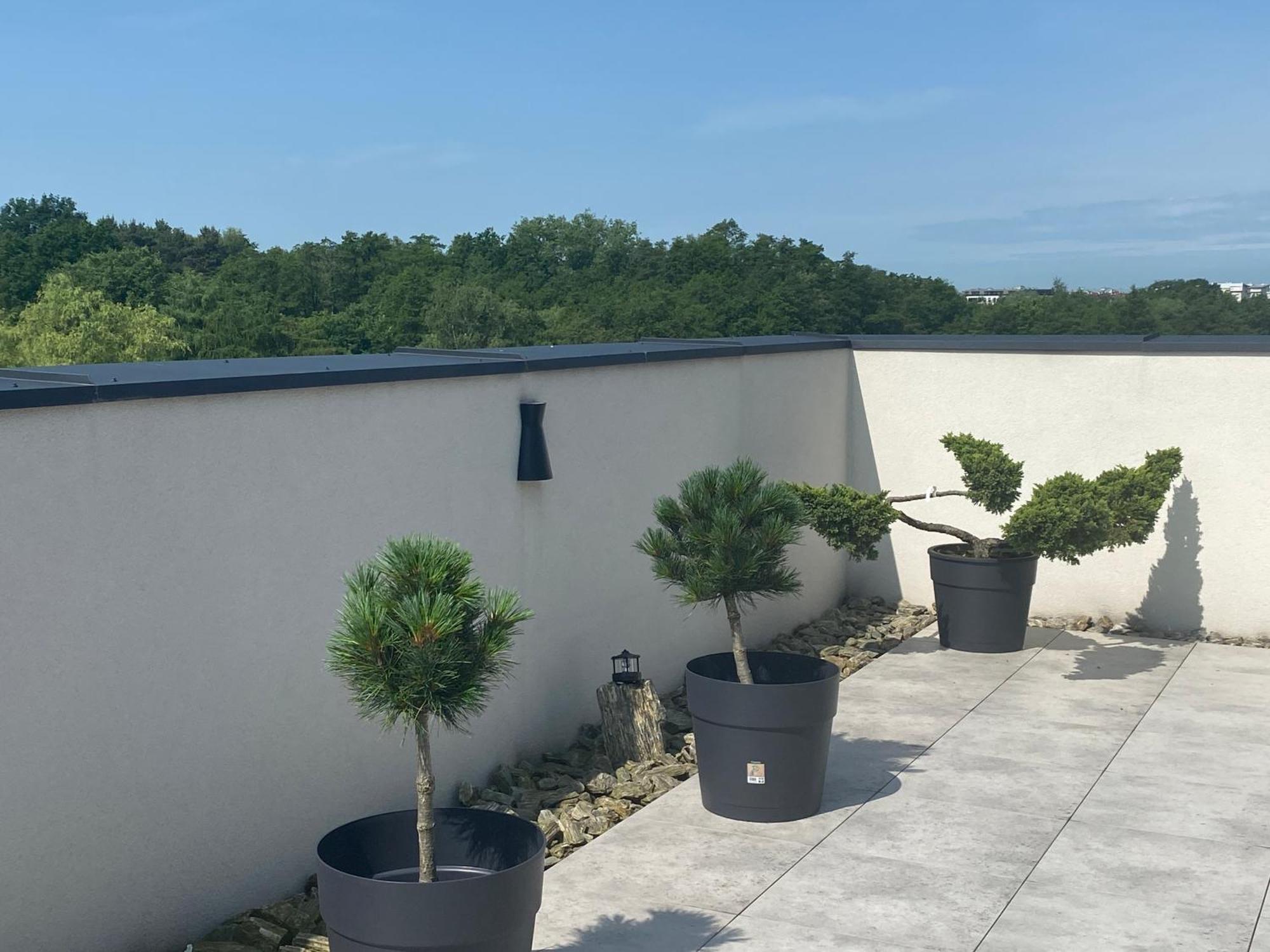 Apartment Figaretti *