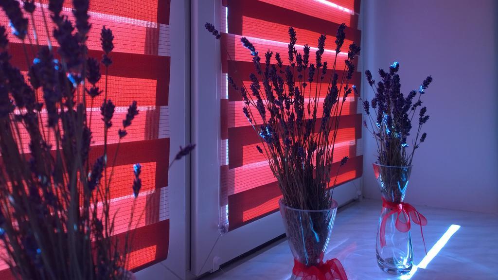 W Krakowie Apartamento