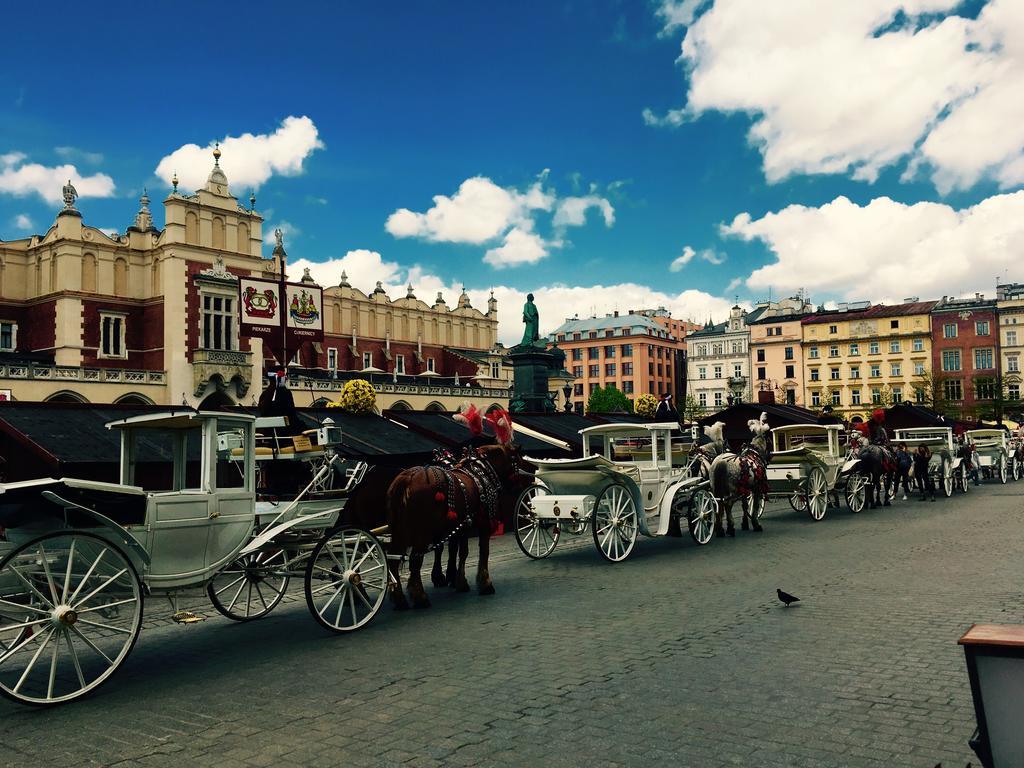 Rynek 7