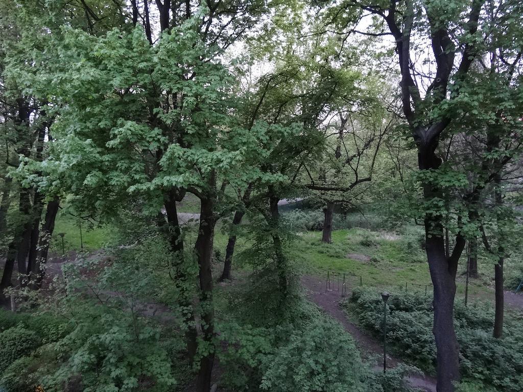 Place *