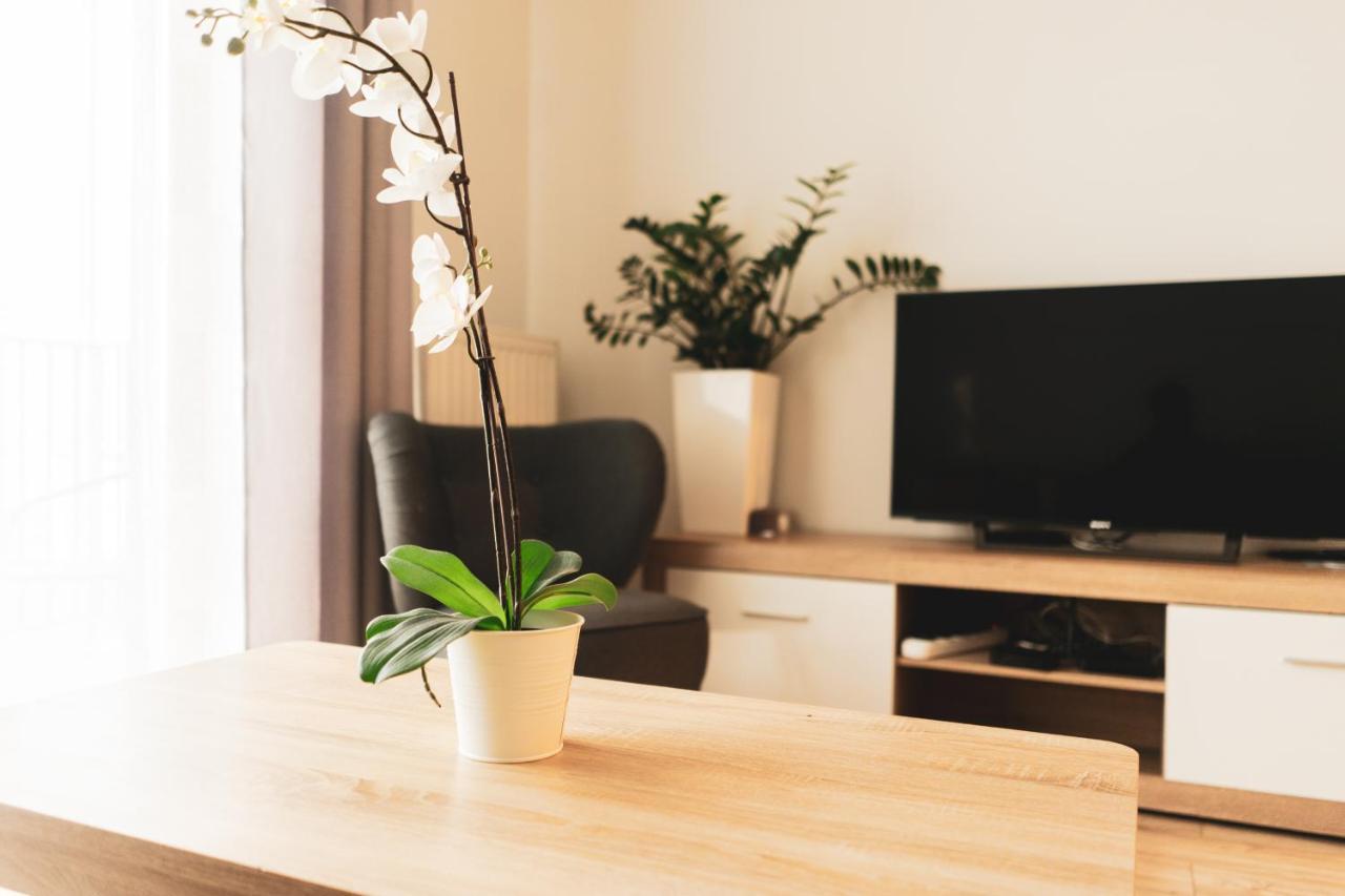Przy Mocaku Ii Apartment