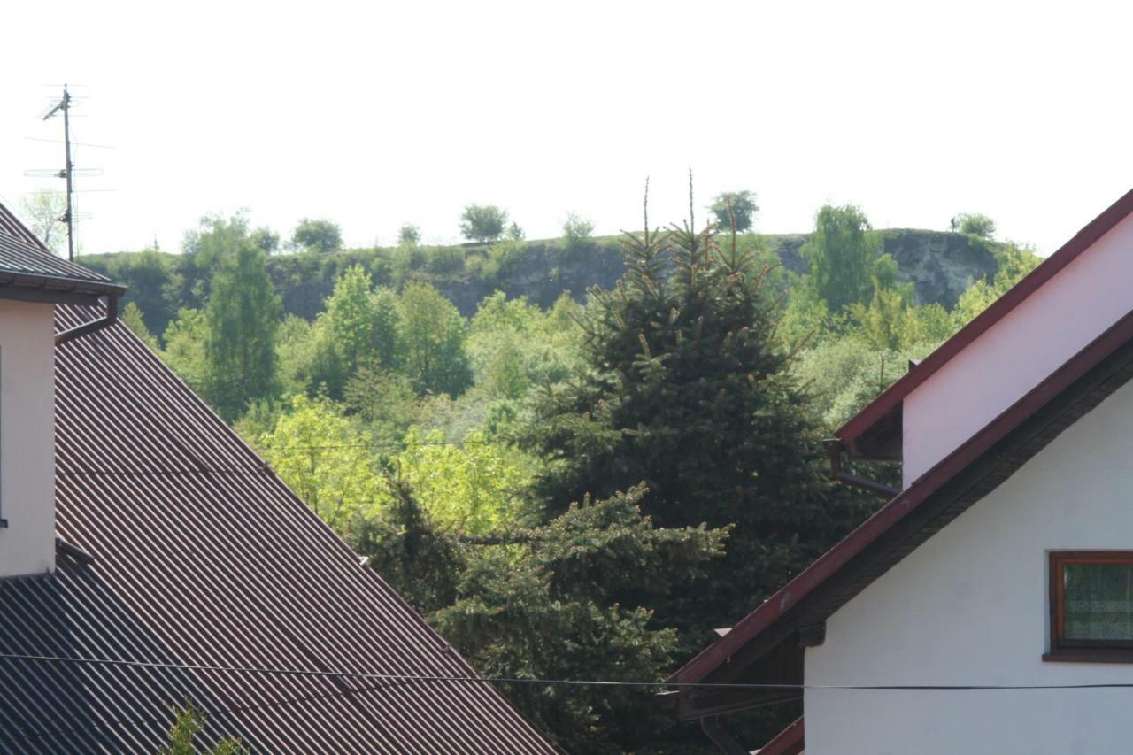 Homestay Dom Zielna 61 *