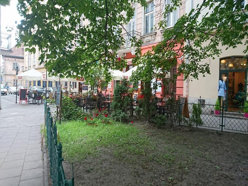 Ok Kazimierz