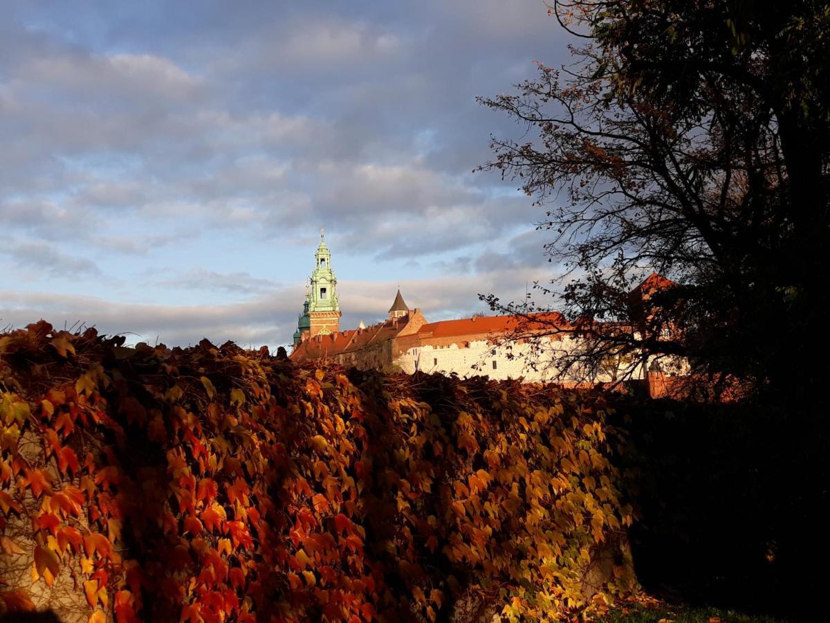 Akwarela I Apartamento Cracóvia